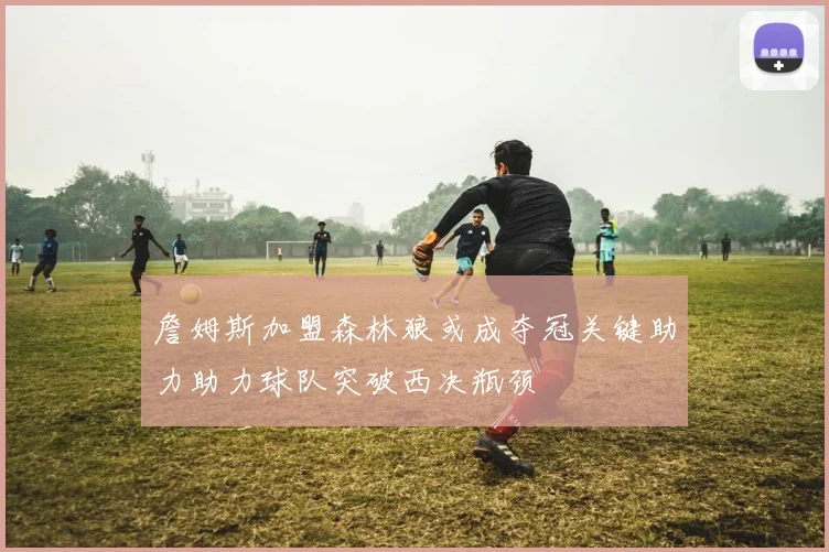 詹姆斯加盟森林狼或成夺冠关键助力助力球队突破西决瓶颈