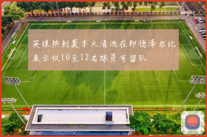 英媒热刺夏季大清洗在即德泽尔比表示仅10至12名球员可留队